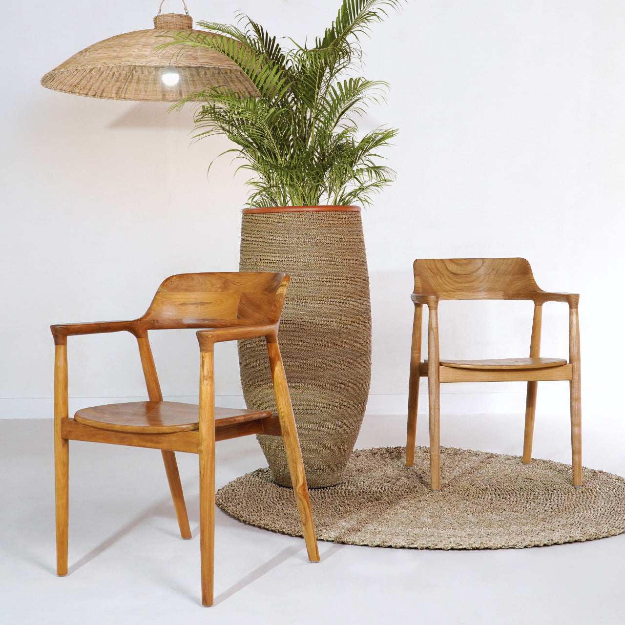 Maddox - Dining Chair