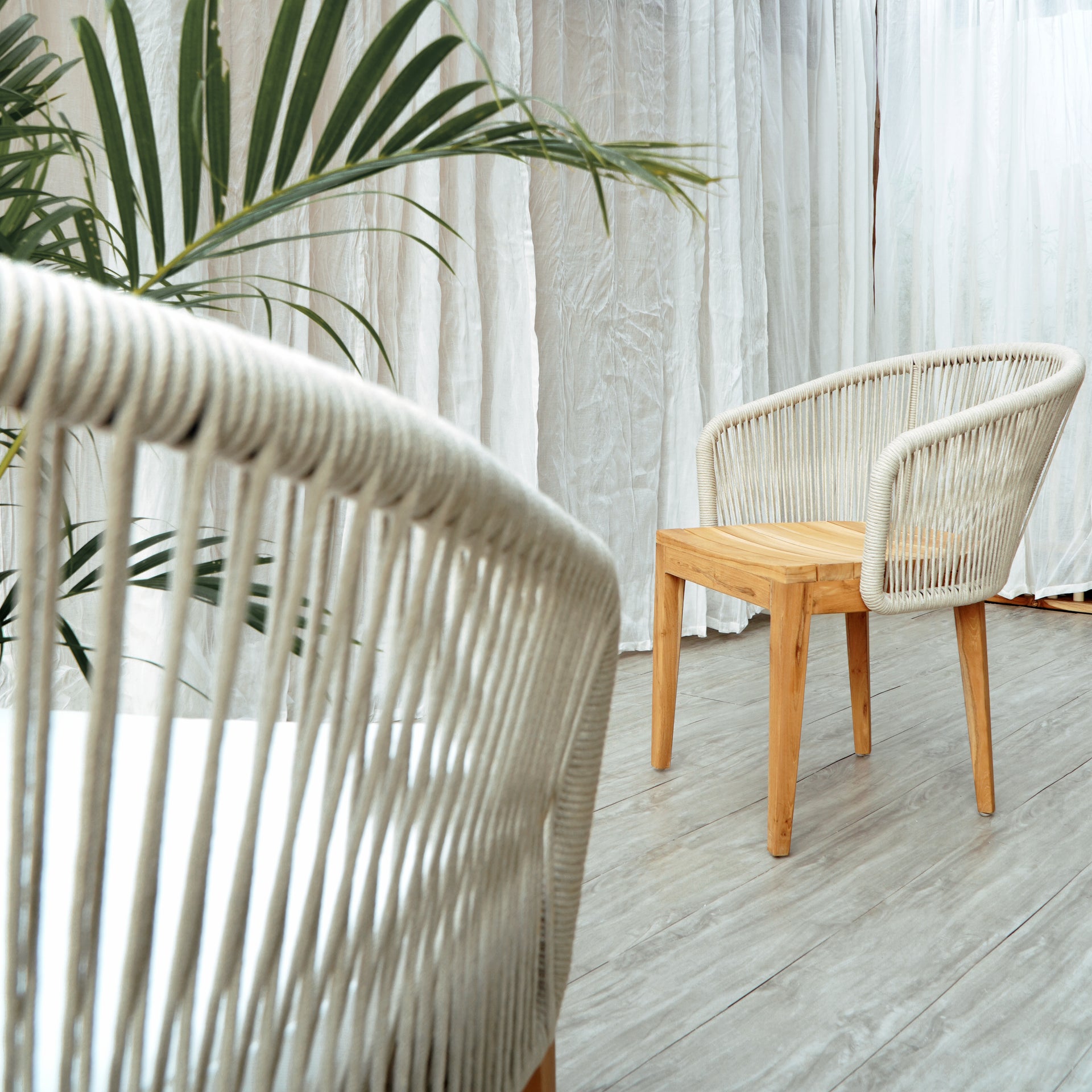 Sophia - Dining Chair